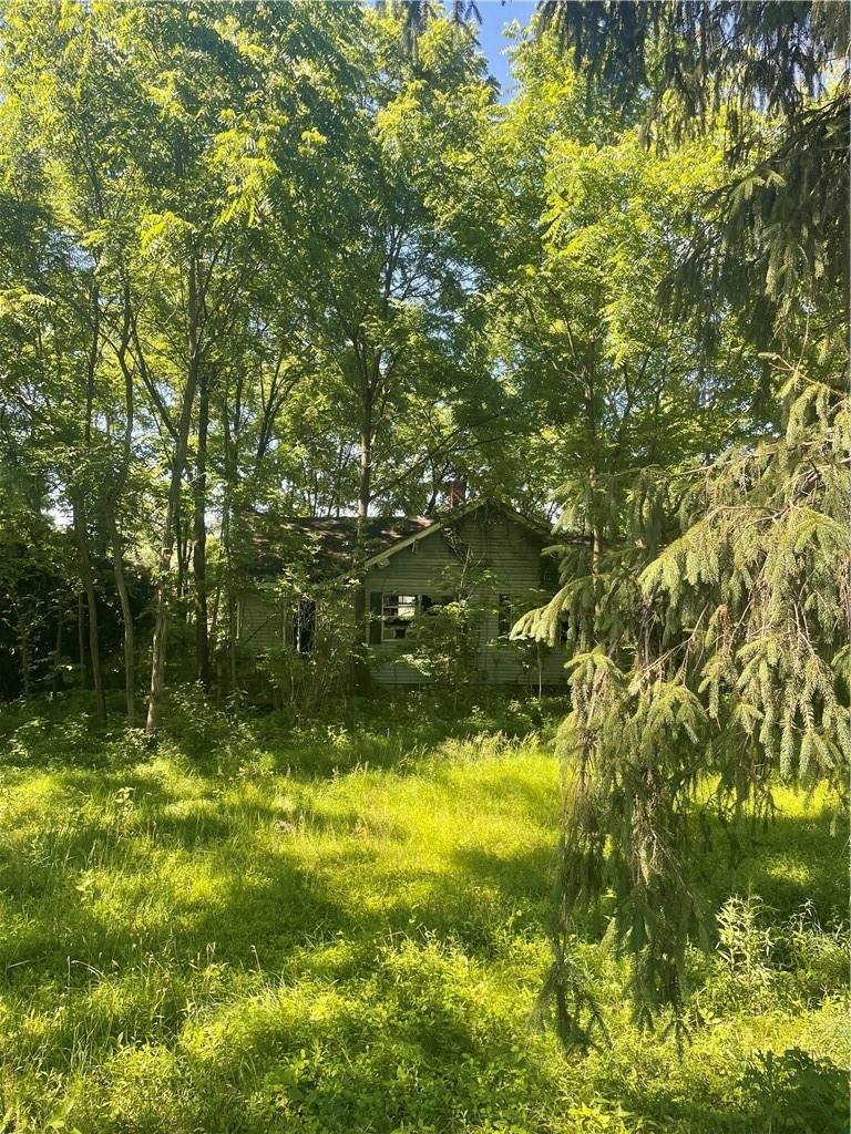 102 Watters Station Rd - Photo 1