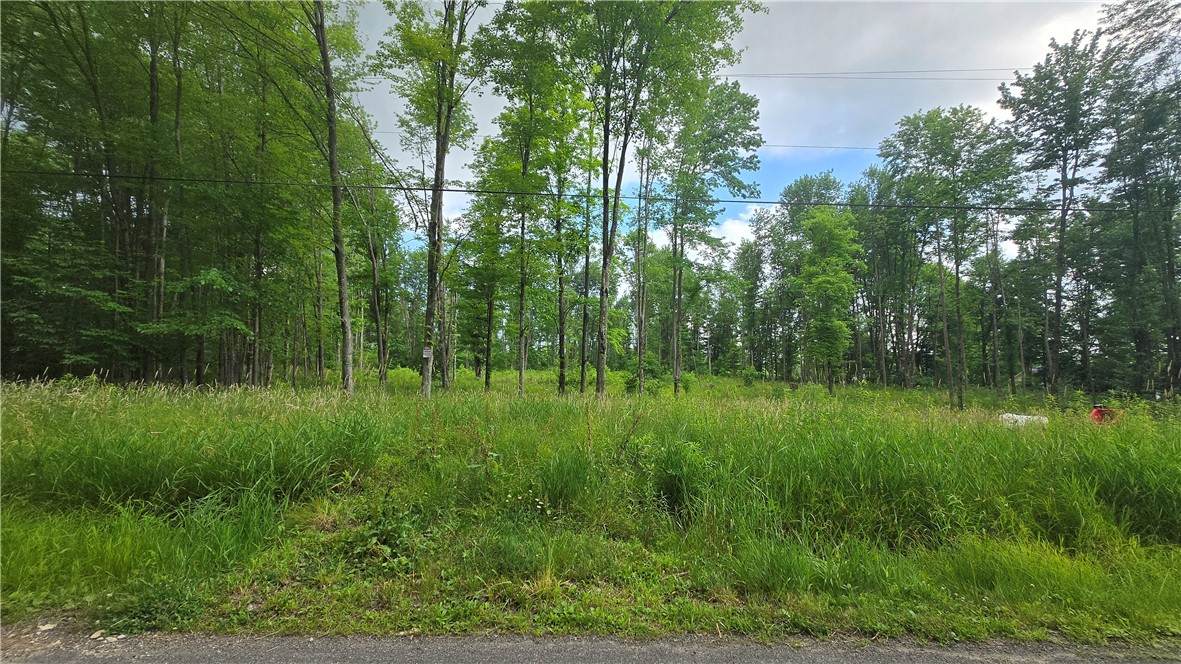17 Ball Hill Rd - Photo 1