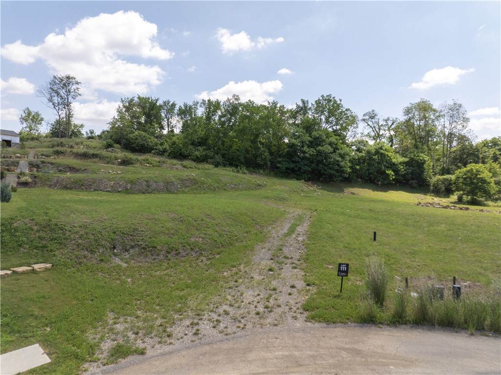 140 (Lot 111)Fair Acres Dr - Photo 1
