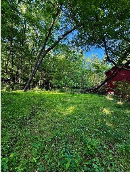 0 Nellie School Rd. - Photo 1