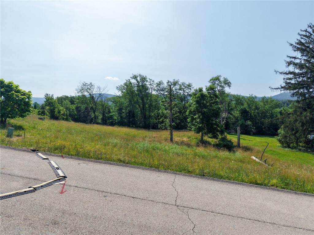 Lot 30 Wellington Dr - Photo 1