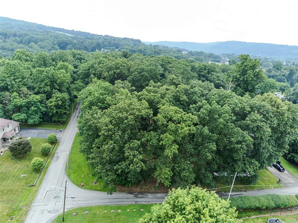 0 Walnut Ave - Photo 1