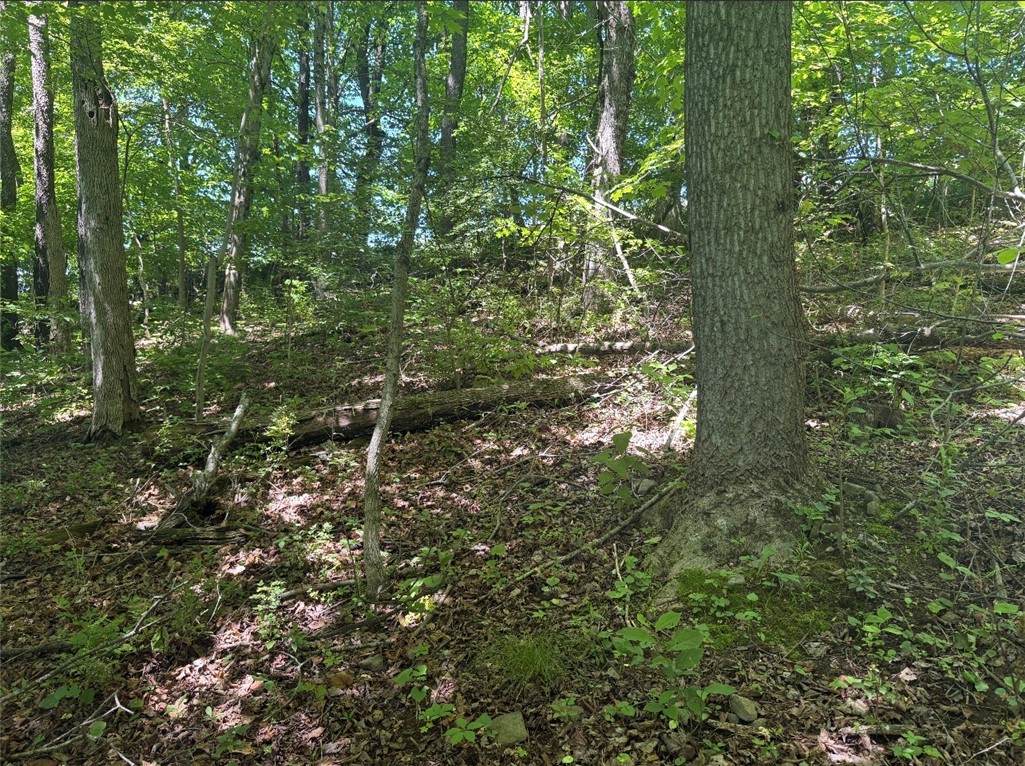 https://bt-photos.global.ssl.fastly.net/pittsburgh/orig_boomver_1_1764257-2.jpg