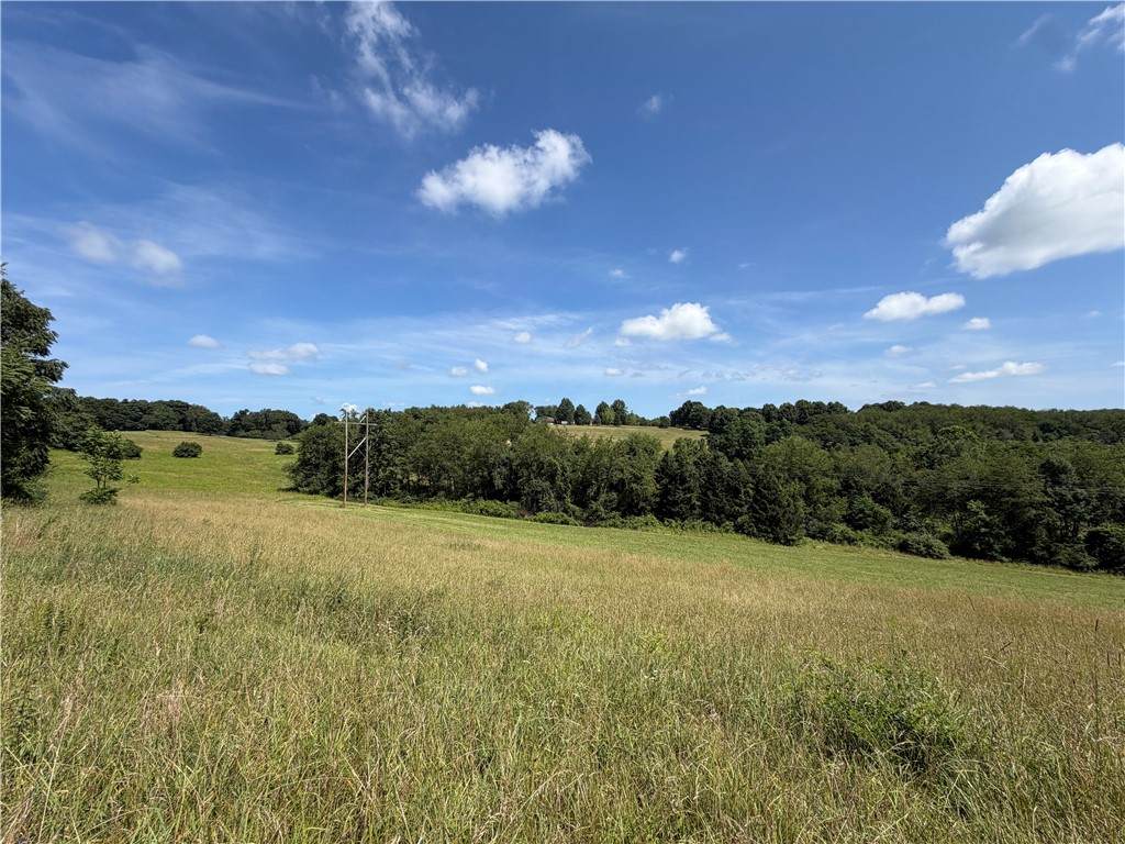 Lot 30 Lamantia Lane - Photo 1