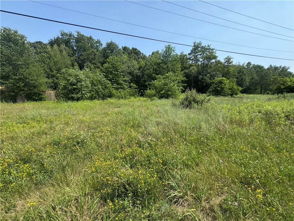 000 Old Butler Road - Photo 1