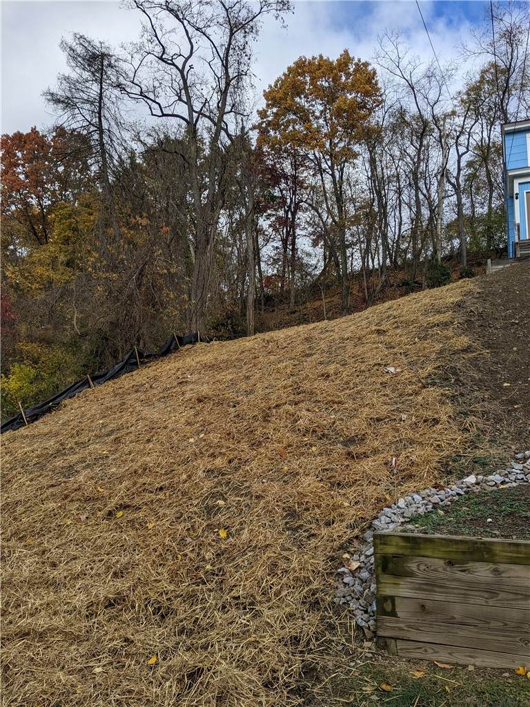 37 Lawrence Street - Photo 1