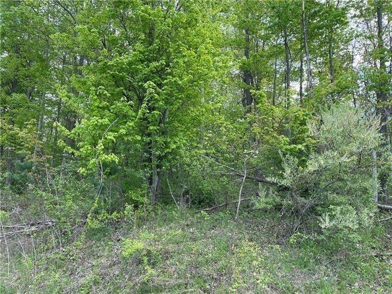 Lot 102 Lakewood Road - Photo 1
