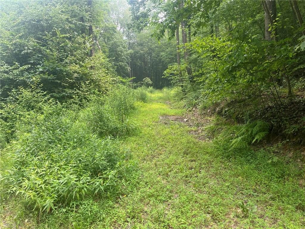 Lot 10 Off Camp Run Rd - Photo 1