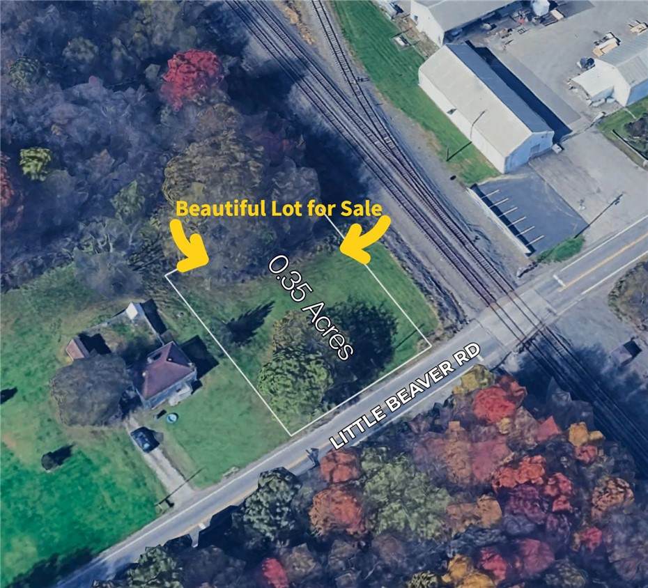 171 Little Beaver Rd - Photo 1