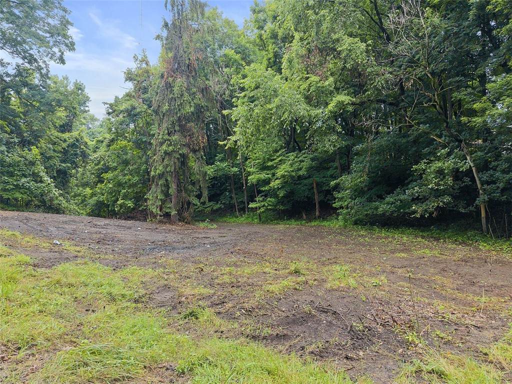 199 Charley Allison Rd - Photo 1
