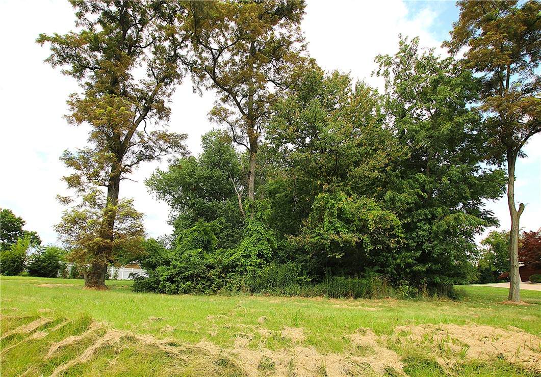 0 Ridge Rd Ext - Photo 1