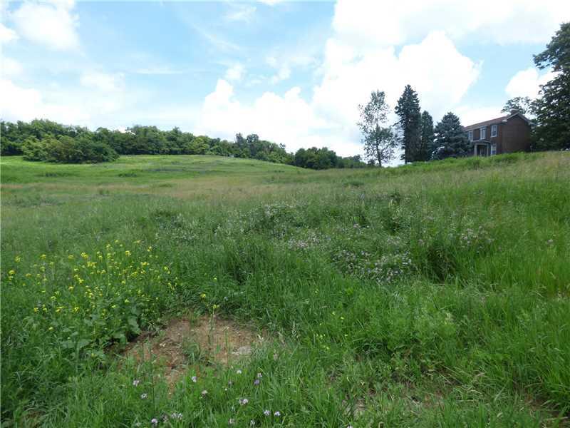 443 New Texas Road - Photo 1