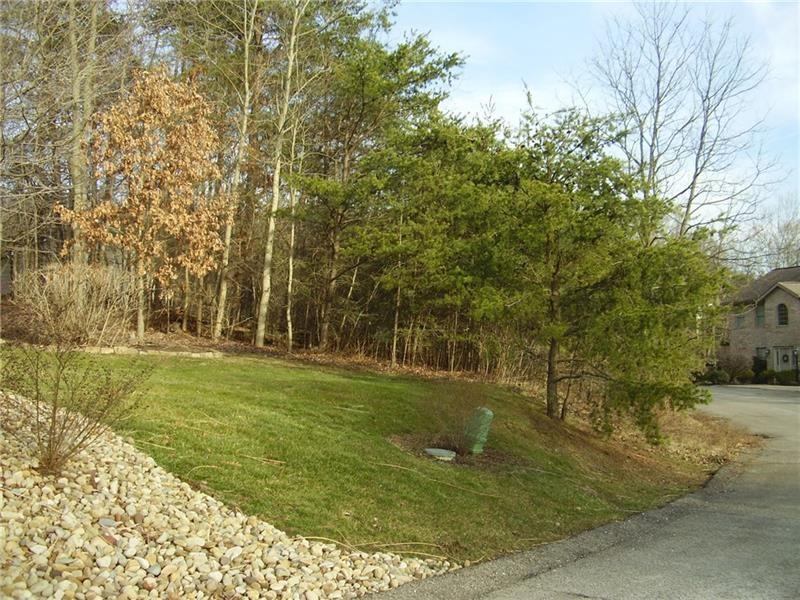 LOT 149 Eldorado Drive - Photo 1