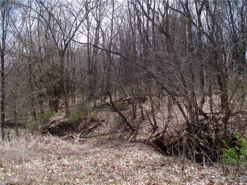 3280 Brodhead Rd - Photo 1