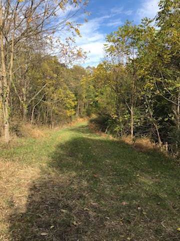 61 Mallard Dr. - Photo 1