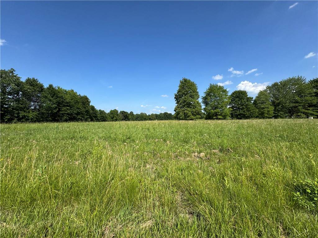 11.61 acres Stateline Rd - Photo 1