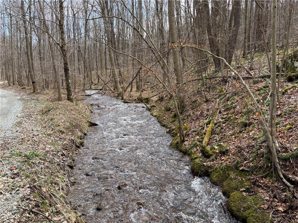 Lot 1 Neals Run Road - Photo 1