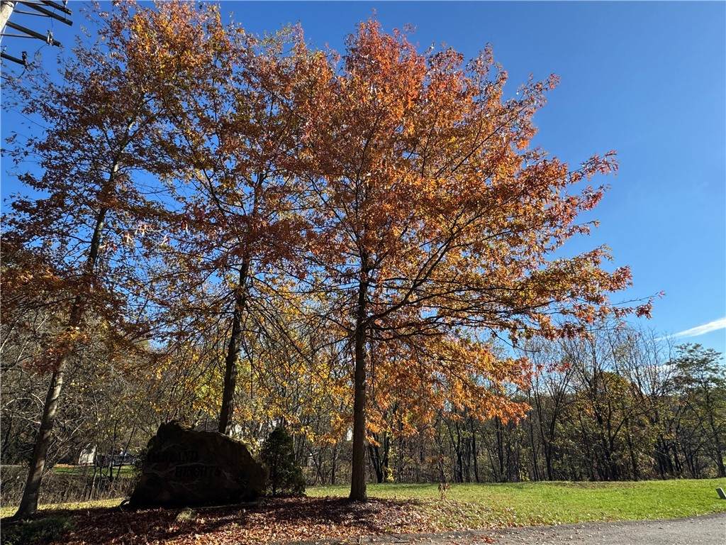 Lot #25 Oakland Heights Rd - Photo 1