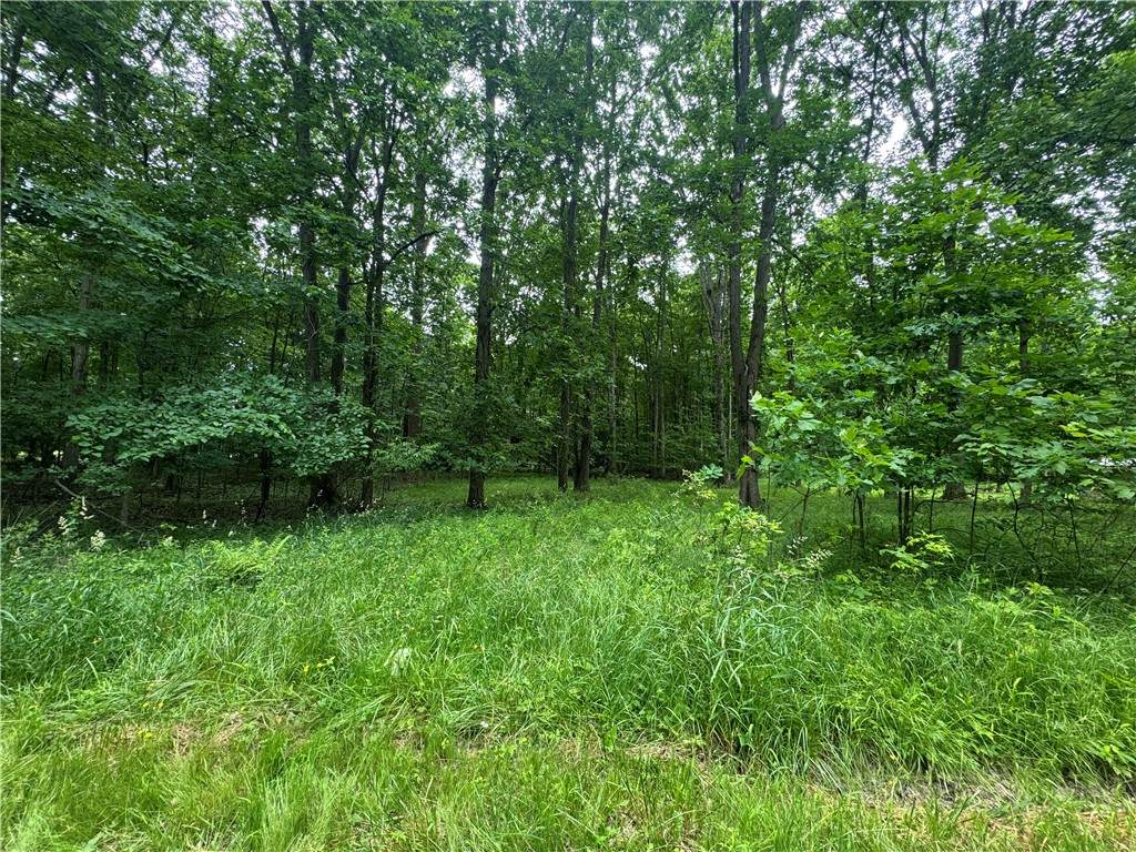0 Trails End Rd - Photo 1