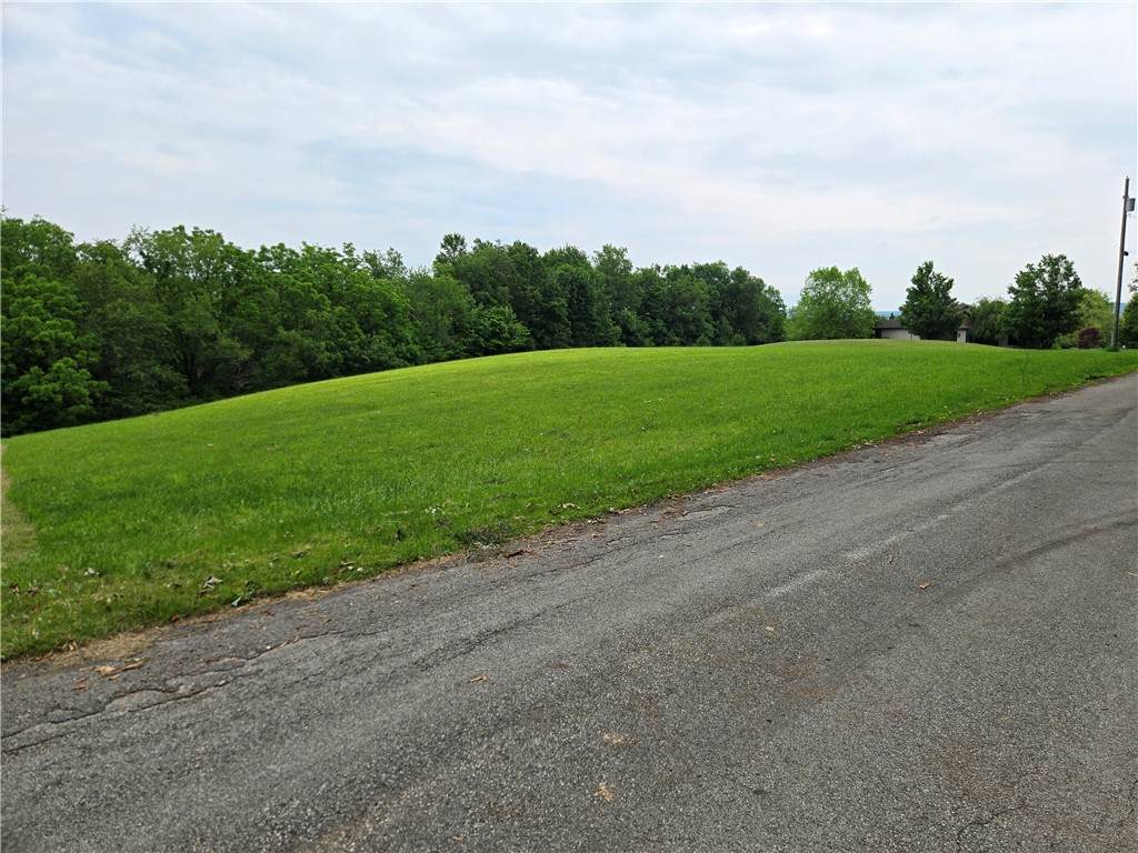 0 Mt Olive Rd - Photo 1