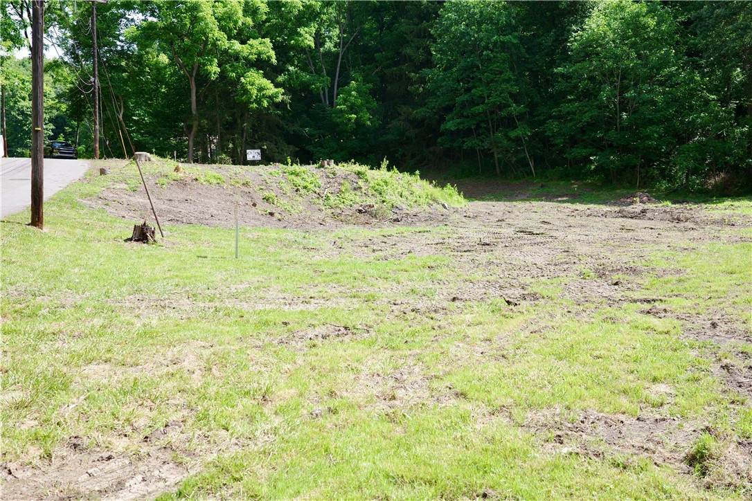 500 Conway Wallrose Rd - Photo 1