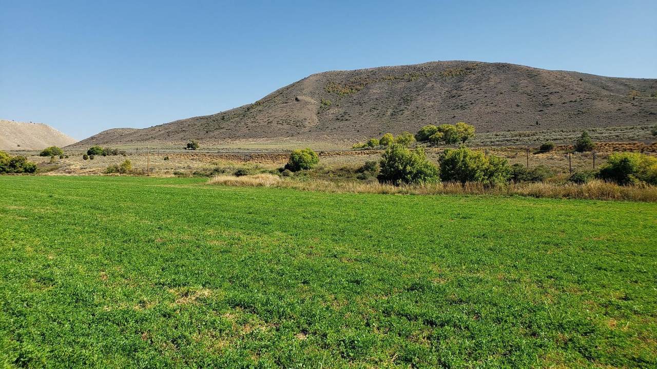 3469 Hwy 30 - Photo 1