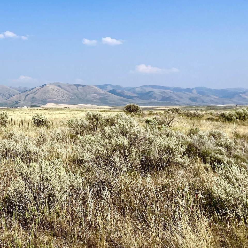 TBD Gunnell Rd. Lot 6 - Photo 1
