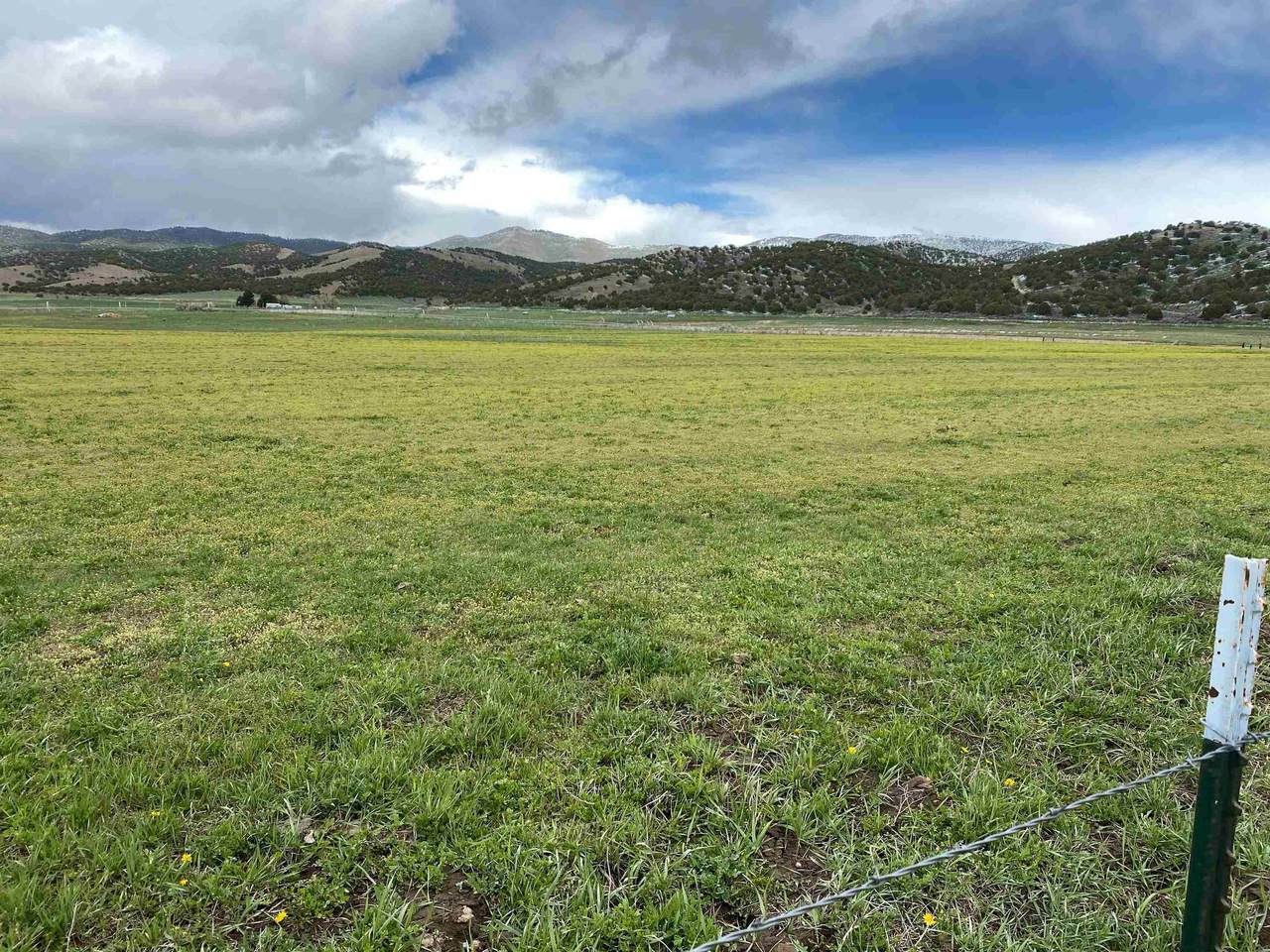 TBD Cornelison Rd - Photo 1