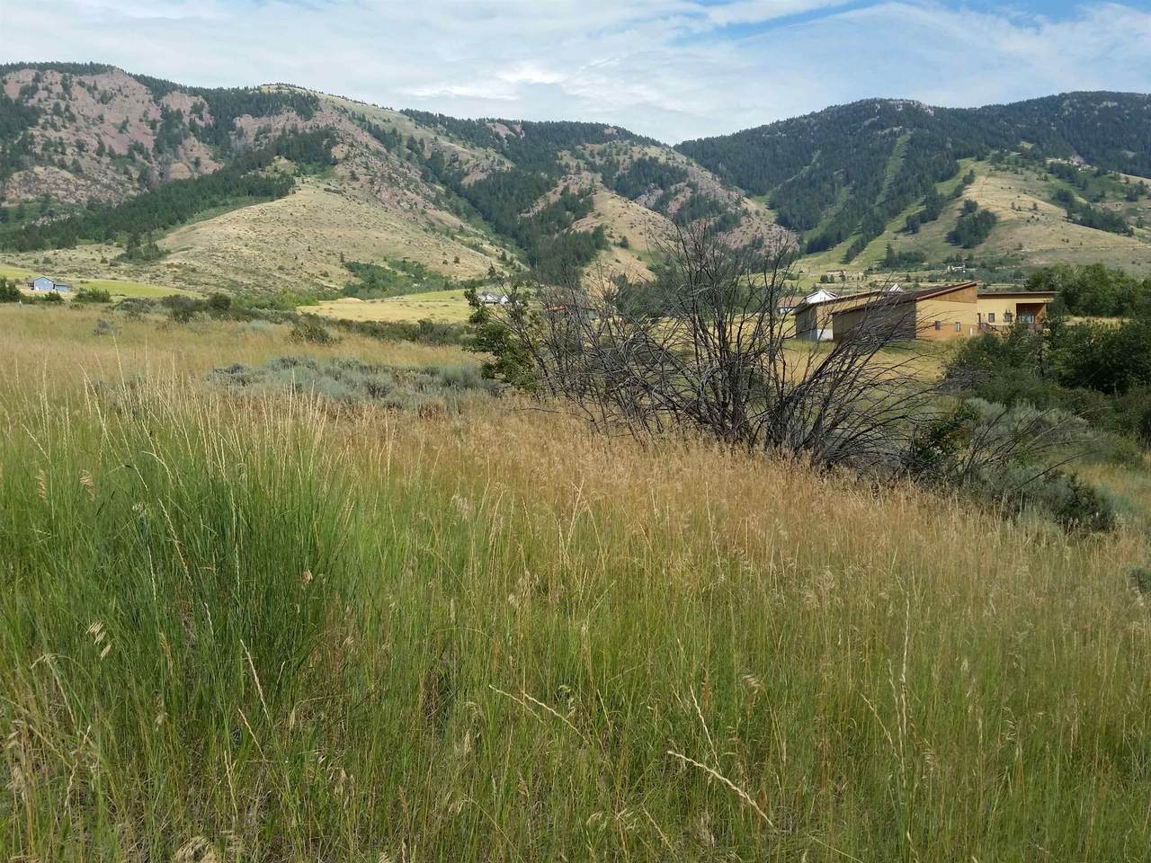 LOT 3 Moose Creek - Photo 1