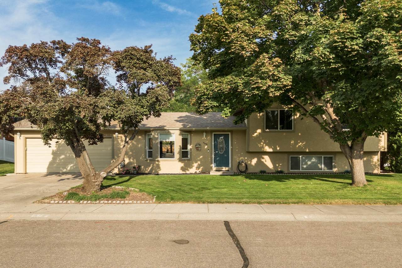 4658 Chateau - Photo 1