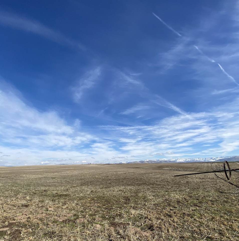 https://bt-photos.global.ssl.fastly.net/pocatello/1280_boomver_1_581853-2.jpg