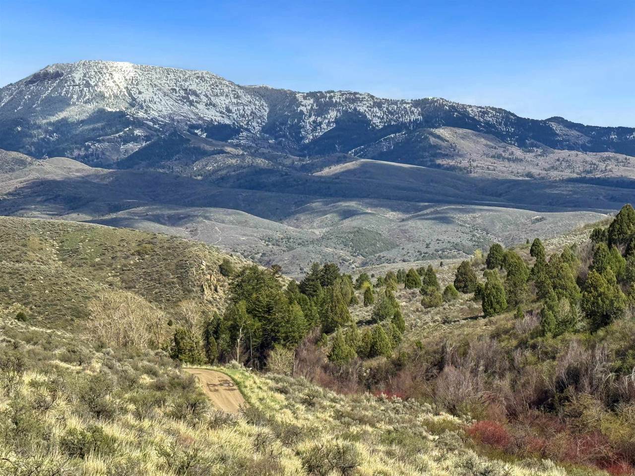 TBD Walker Creek Rd - Photo 1