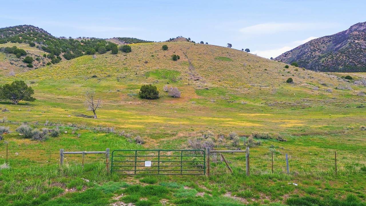 https://bt-photos.global.ssl.fastly.net/pocatello/1280_boomver_1_582222-2.jpg