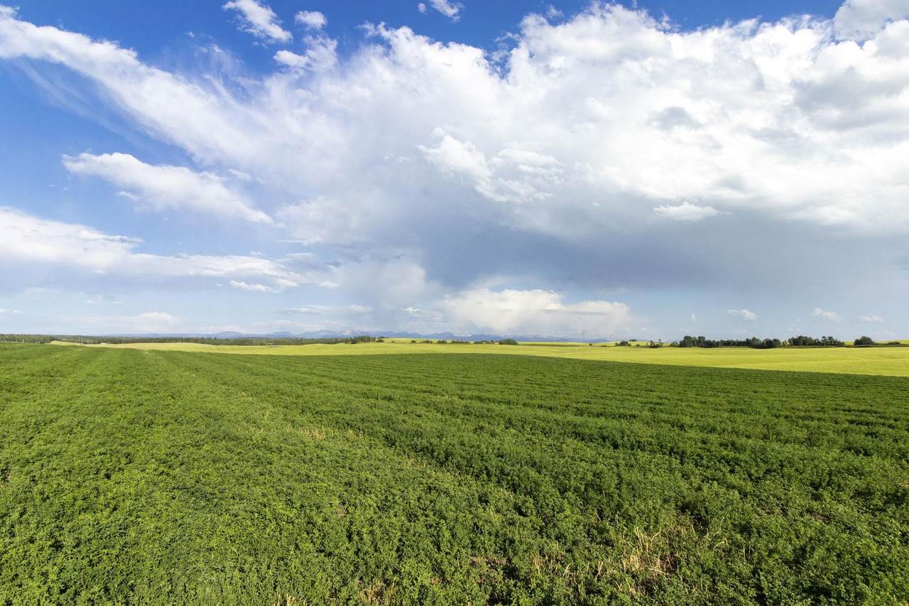 https://bt-photos.global.ssl.fastly.net/pocatello/1280_boomver_1_582650-2.jpg