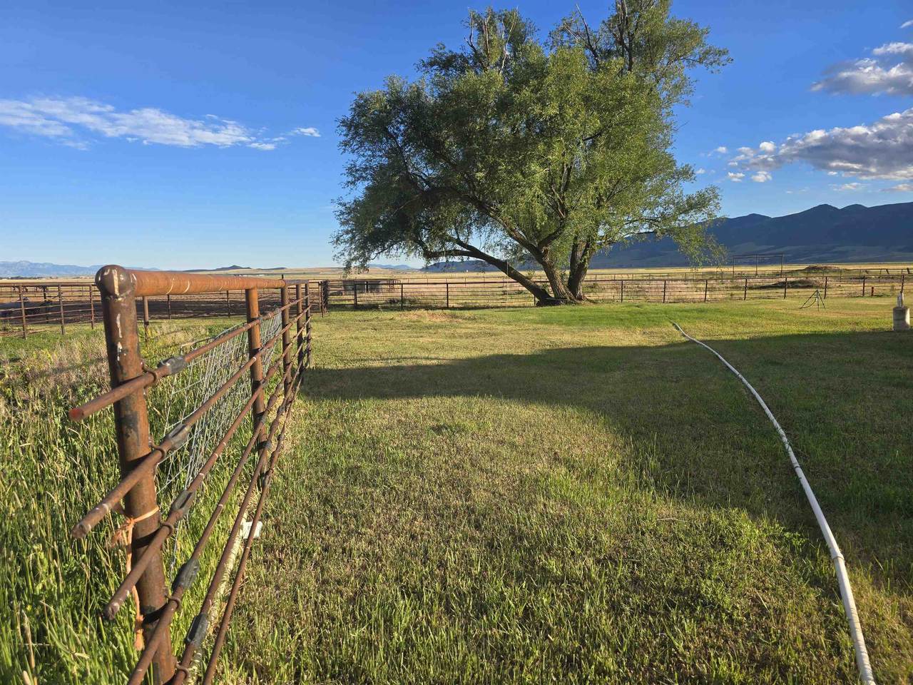 https://bt-photos.global.ssl.fastly.net/pocatello/1280_boomver_1_583052-2.jpg