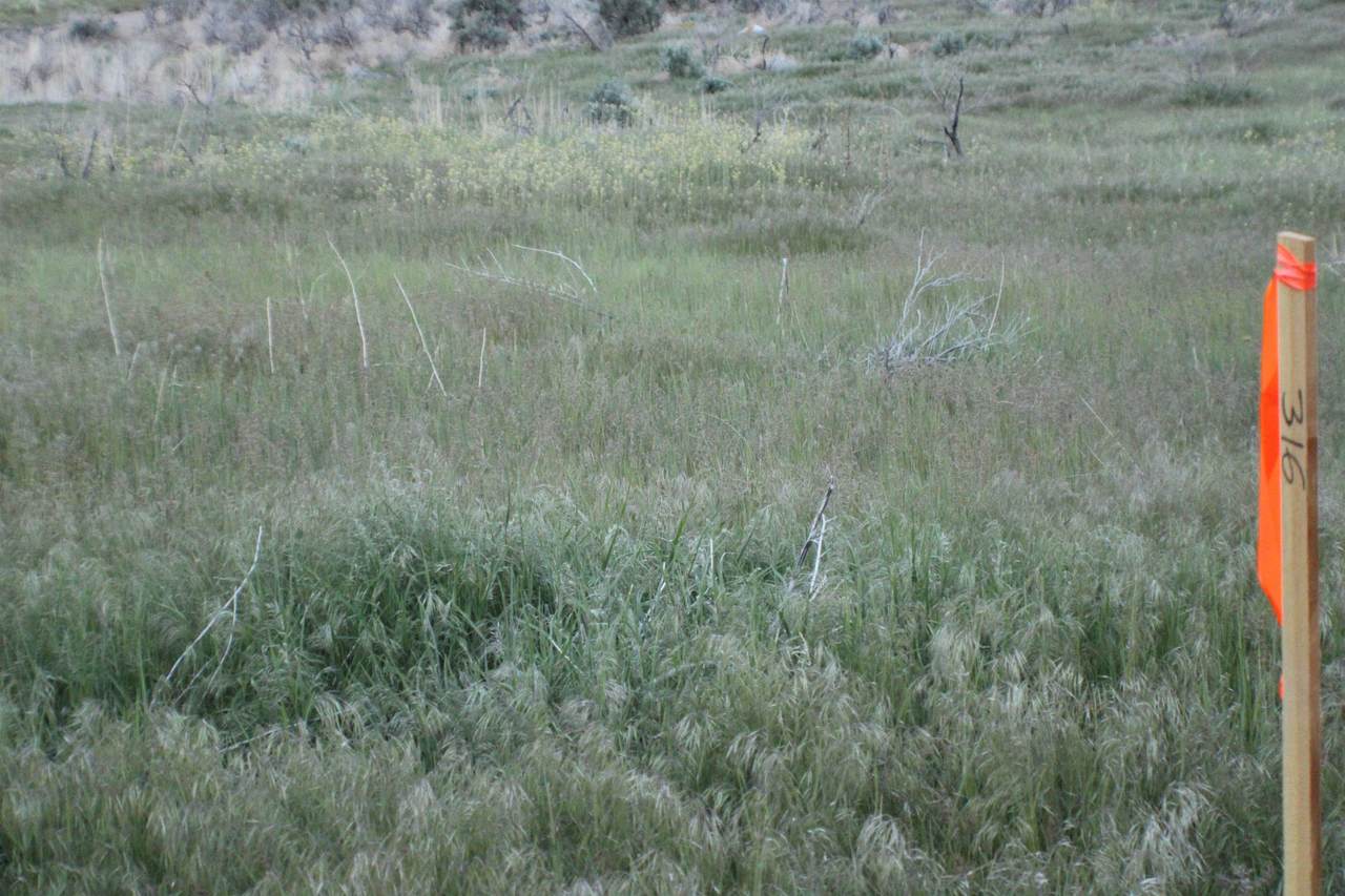 0 5th St - Photo 1