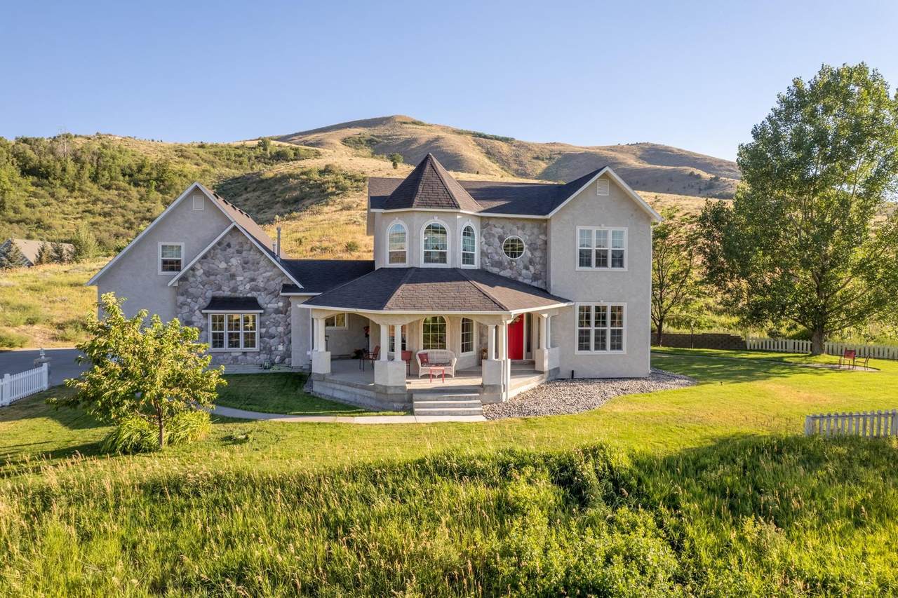 7703 Buckskin - Photo 1
