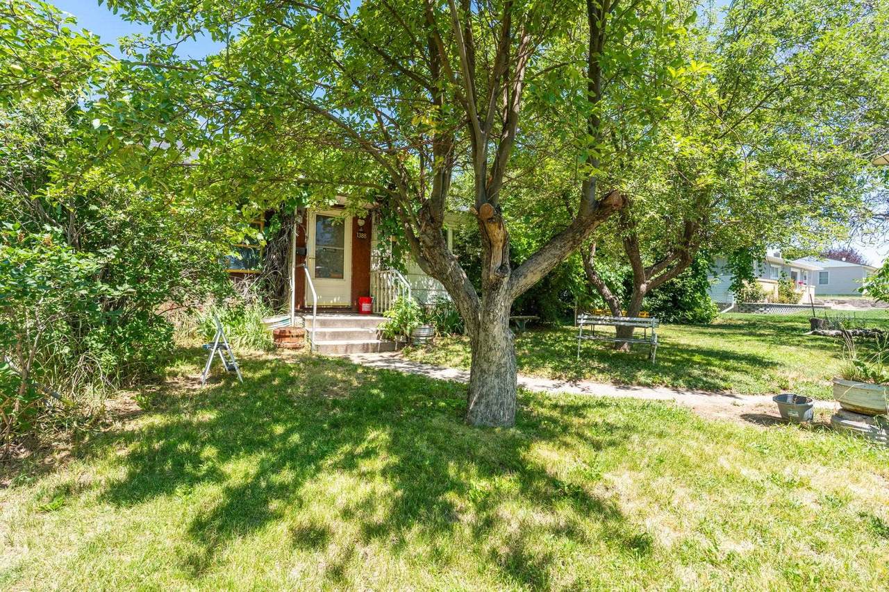 1388 Ridge - Photo 1