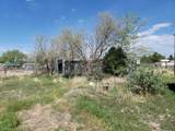 13341 Walton Rd - Photo 19