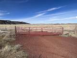 2049 Government Dam Road - Photo 22