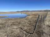 2049 Government Dam Road - Photo 24