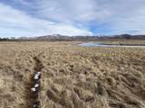 2049 Government Dam Road - Photo 44