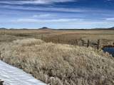 2049 Government Dam Road - Photo 47
