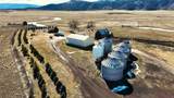 2049 Government Dam Road - Photo 8