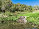 1420 Cedar Lake Rd - Photo 50