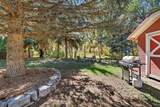 667 Rapid Creek Rd - Photo 11