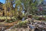 667 Rapid Creek Rd - Photo 13