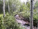 001 Skinner Canyon Road - Photo 2