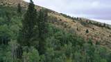 001 Skinner Canyon Road - Photo 25