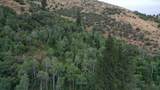 001 Skinner Canyon Road - Photo 31